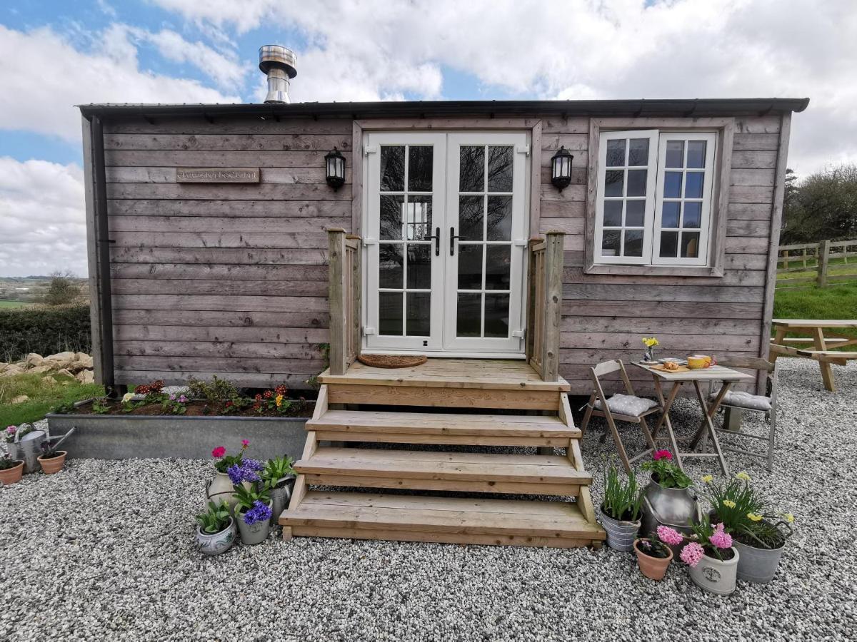 Elvan Farm Shepherd'S Hut Villa Exeter Esterno foto