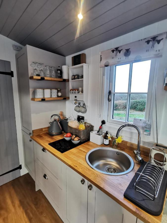 Elvan Farm Shepherd'S Hut Villa Exeter Esterno foto