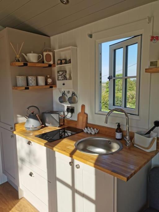 Elvan Farm Shepherd'S Hut Villa Exeter Esterno foto