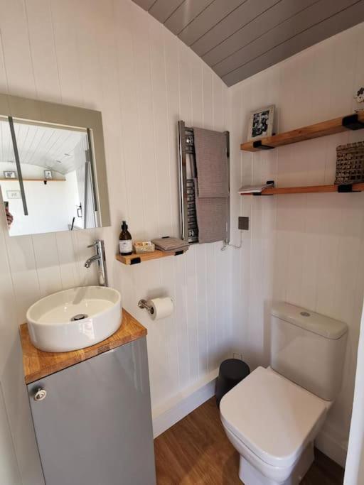 Elvan Farm Shepherd'S Hut Villa Exeter Esterno foto